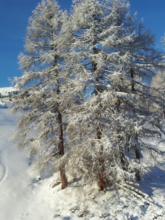 Ferienwohnung Familie Wieser Altenmarkt im Pongau Luaran gambar