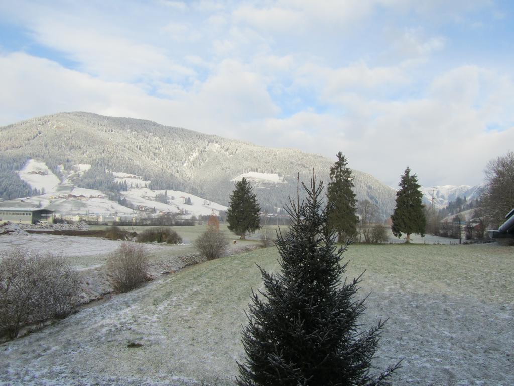 Ferienwohnung Familie Wieser Altenmarkt im Pongau Luaran gambar